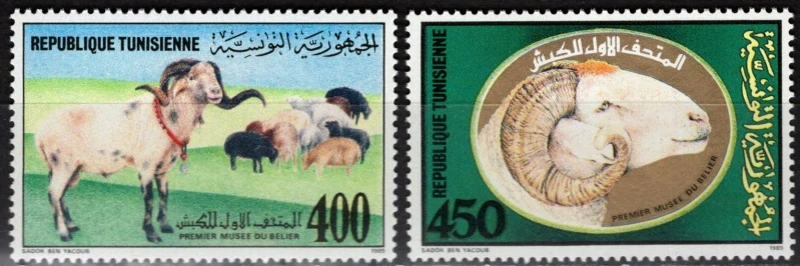 1206-1207