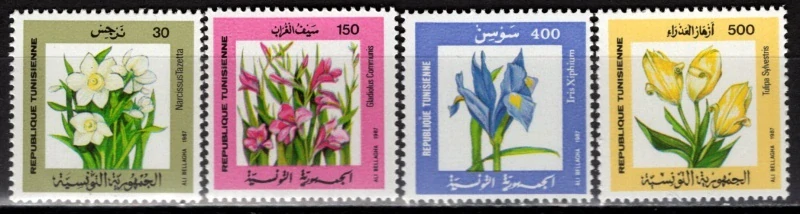 1160-1163 Flóra