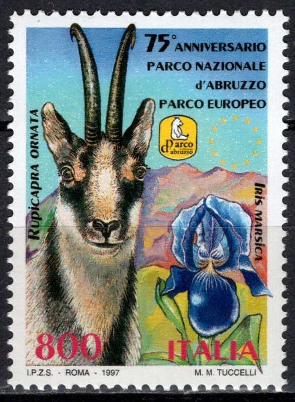 2509 Fauna