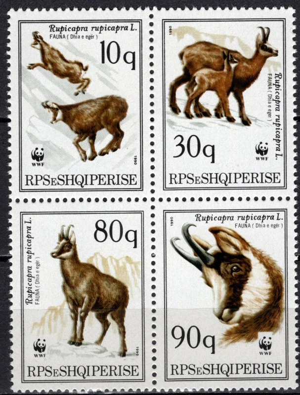 2423-2426 Fauna
