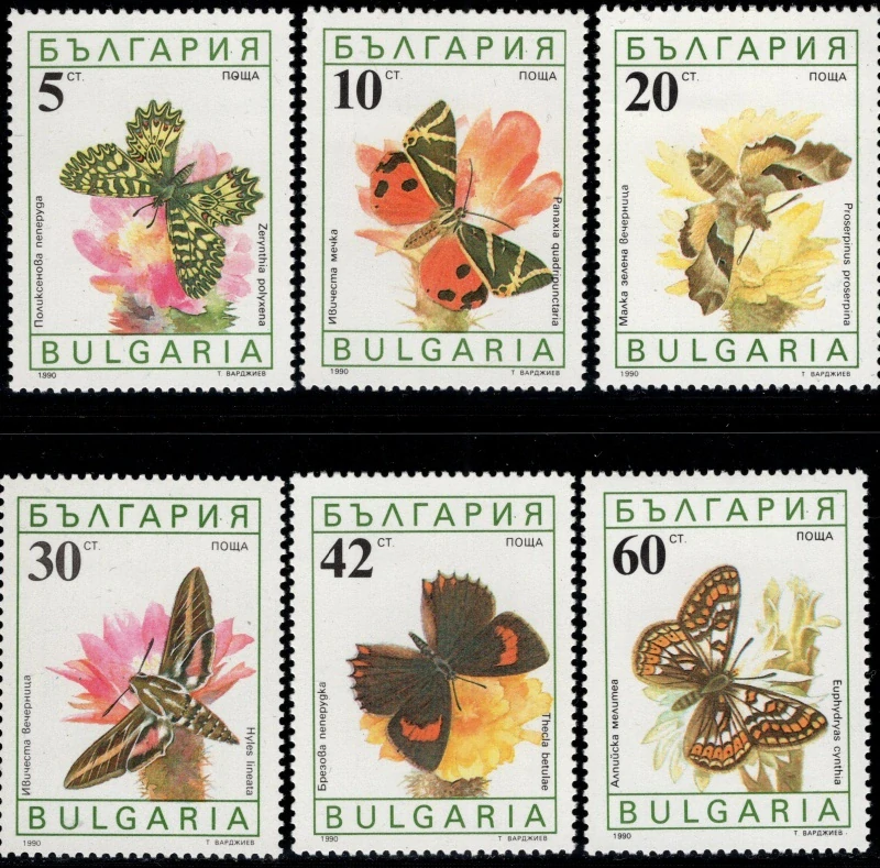 3852-3857 Fauna