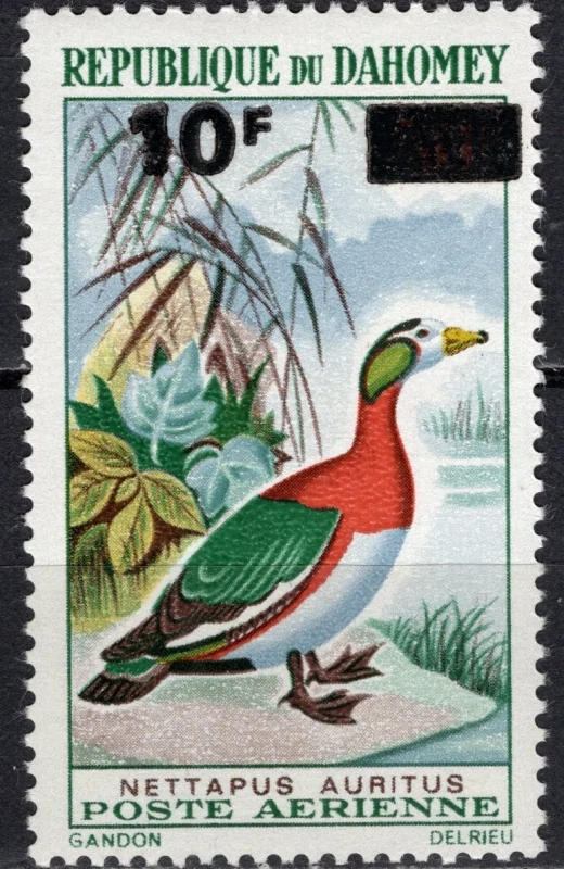 0394 Fauna