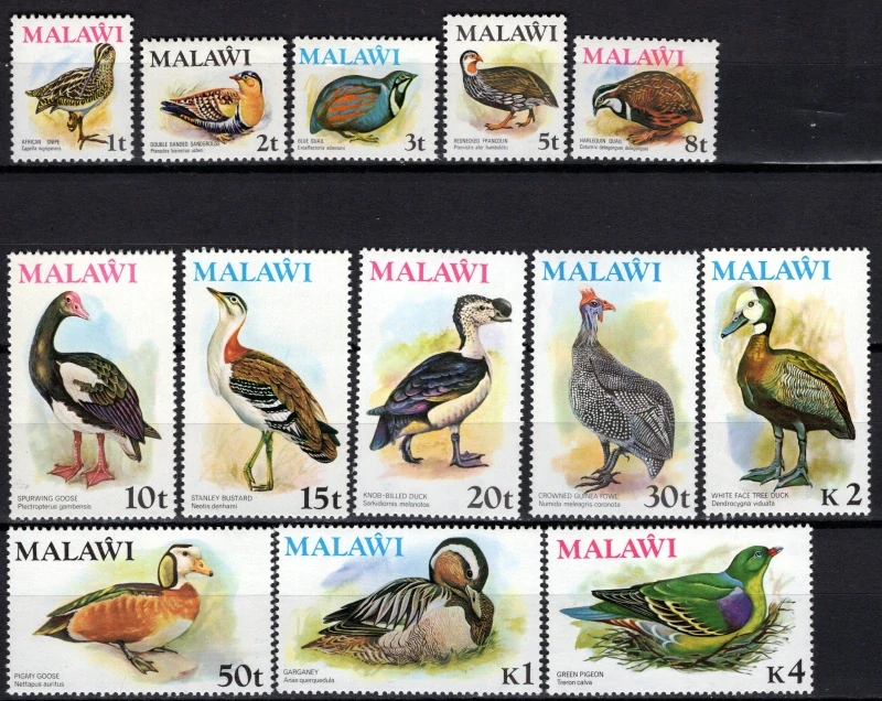 0229-0241 Vtáky