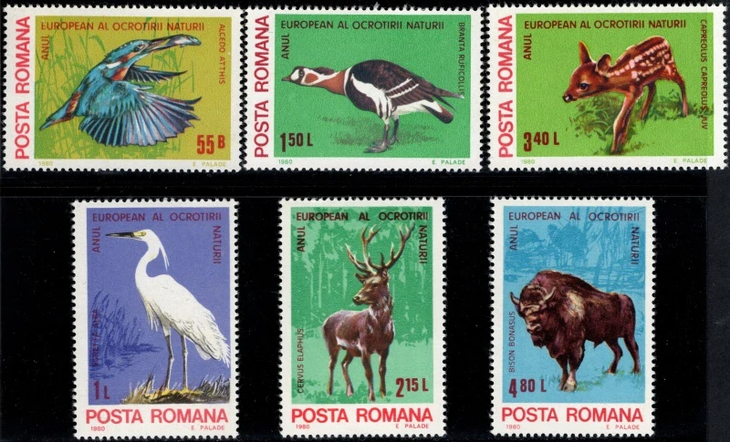 3705-3710 Fauna
