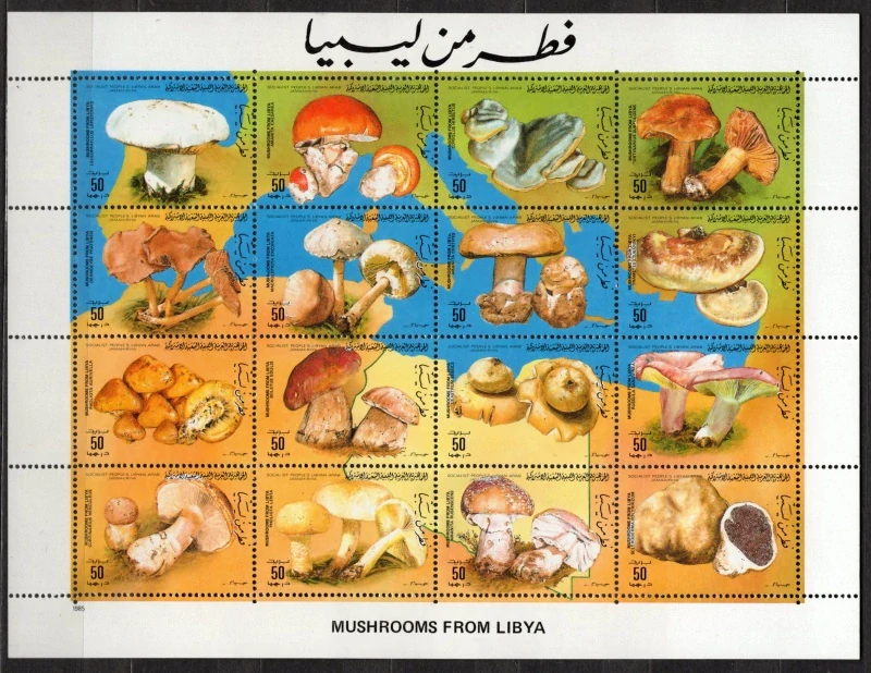 1554-1569