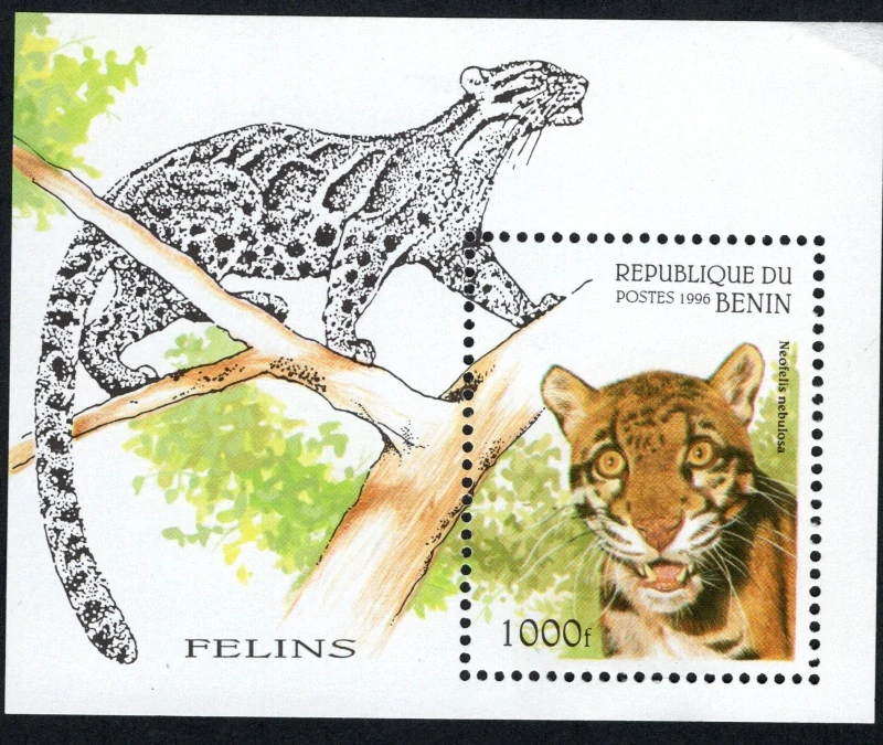 0812 BL 19 Fauna