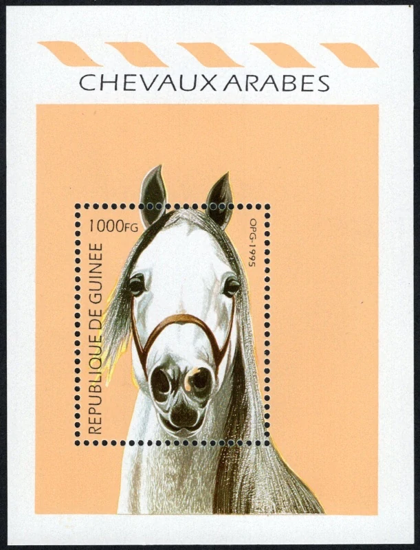 01567 BL 499 Fauna