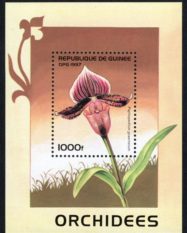 1630 BL 507 Flóra