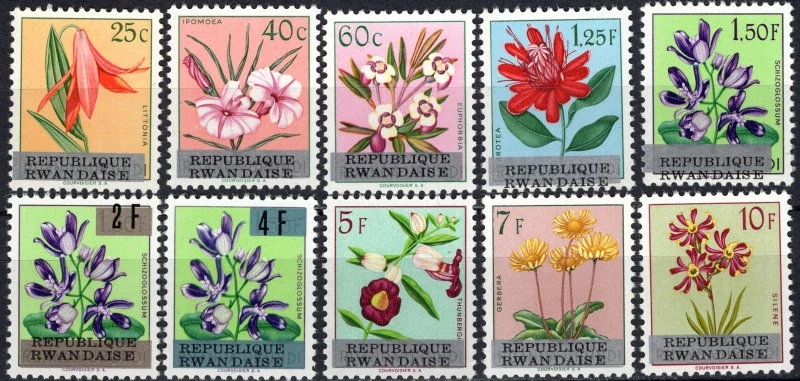 0013-0022 Flóra