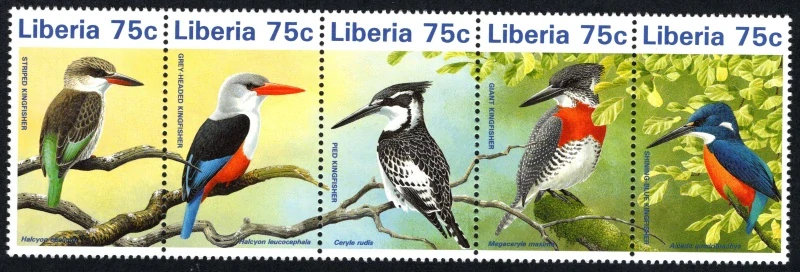 1796-1800 Vtáky