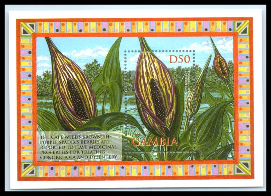 4820 BL 626 Flóra