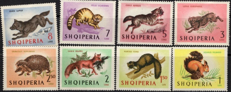 0815-0822 Fauna