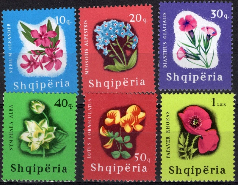 0988-0993 Flóra