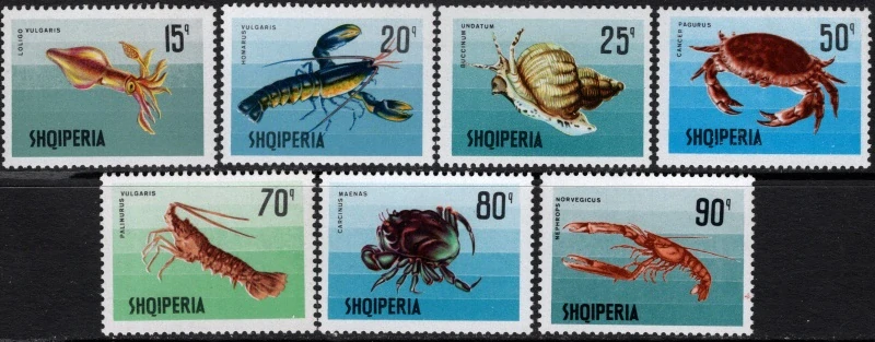1299-1305 Fauna