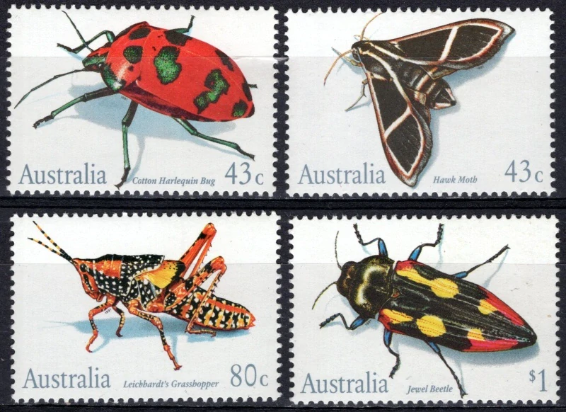 1244-1247 Fauna