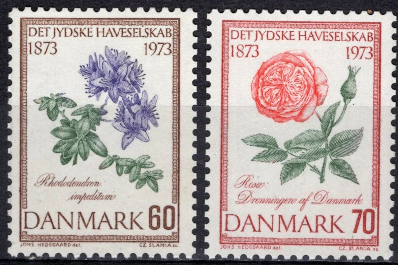 0543-0544 Kvety