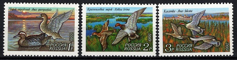 0254-0256
