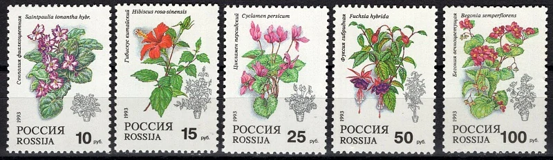 0296-0300