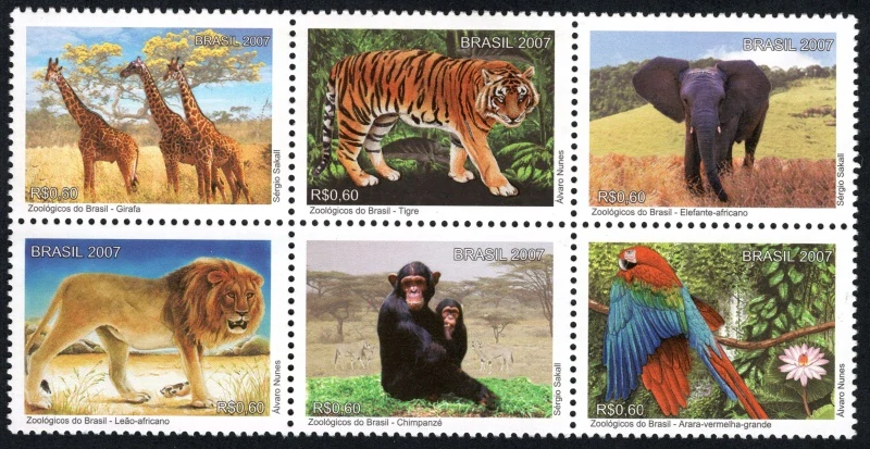3514-3519 Fauna