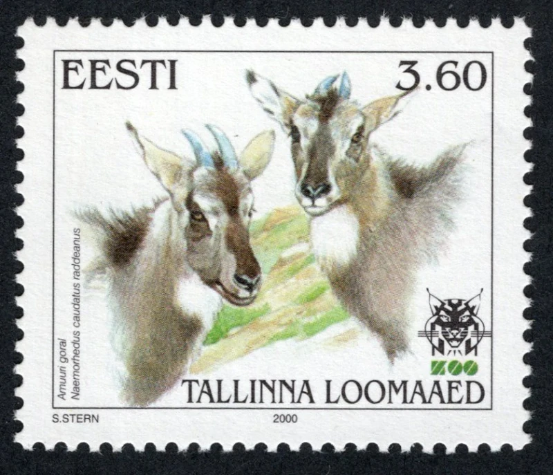 0373 Fauna