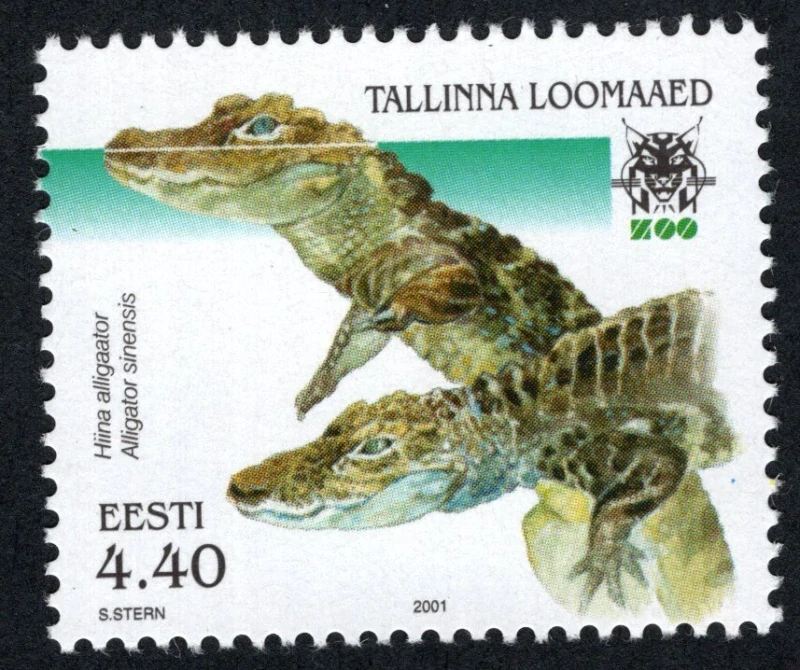 0419 Fauna