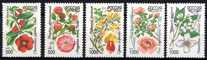 0554-0558