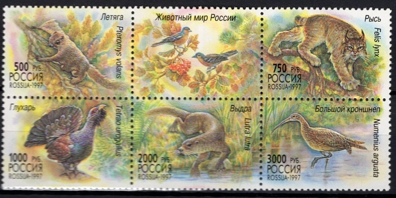 0597-0601