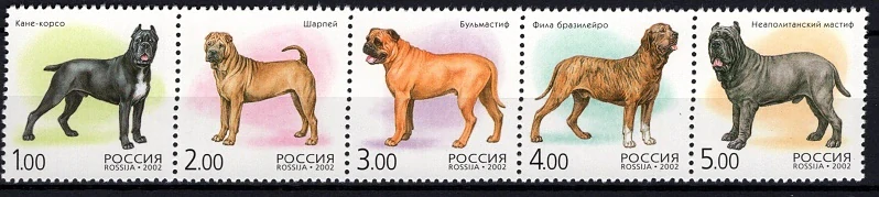 0971-0975