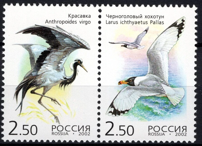 1008-1009