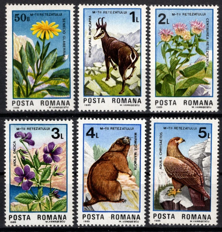 4172-7177 Fauna/Flóra