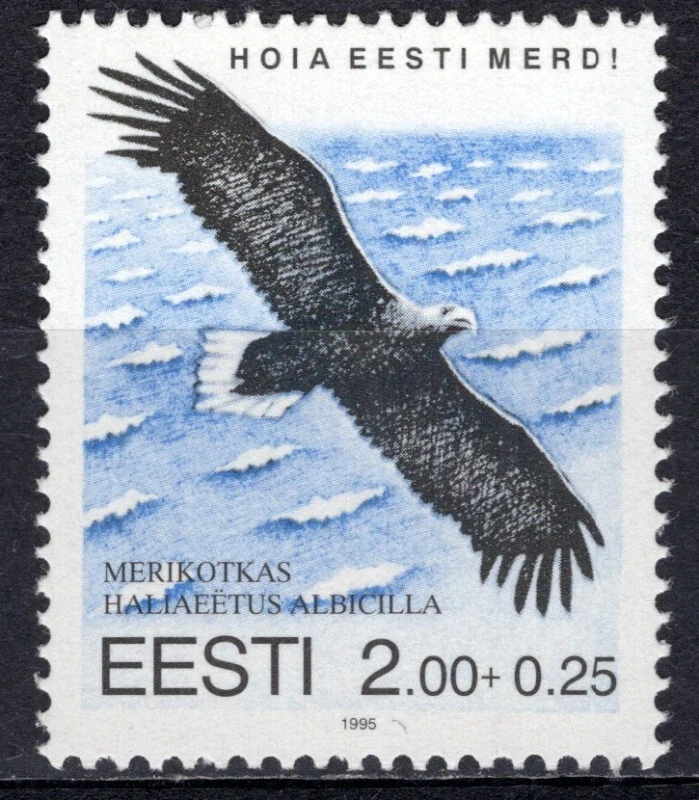 0258 Vtáky