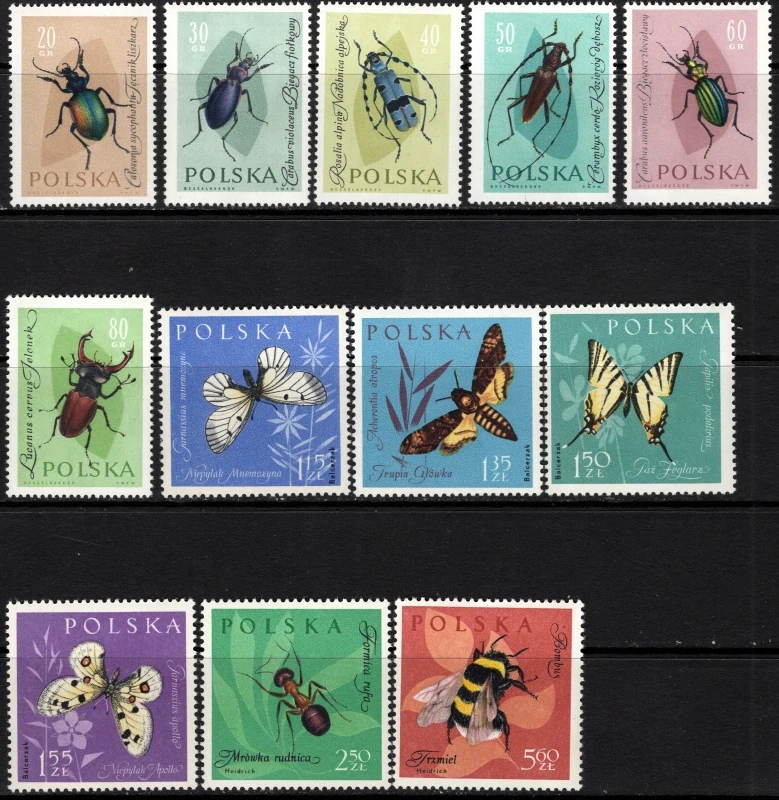 1277-1288 Fauna