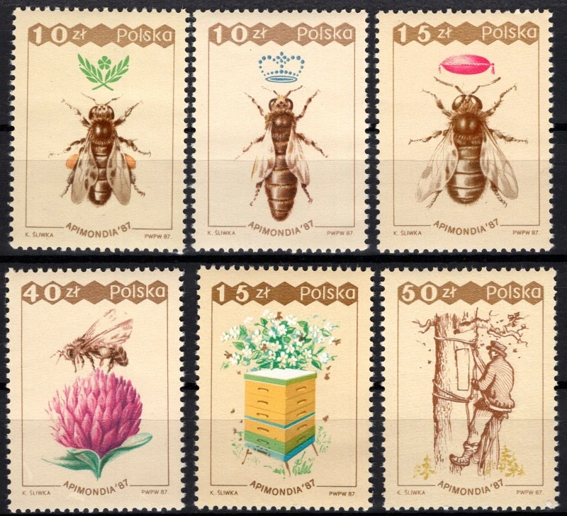 3106-3111 Fauna
