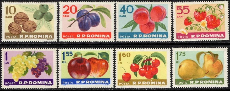 2176-2183 Flóra