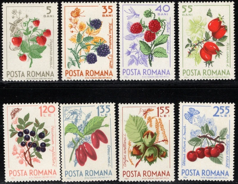 2361-2368 Flóra