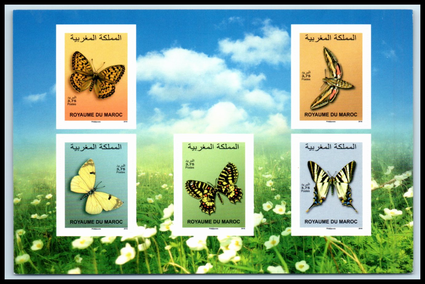 1973-1977 Fauna