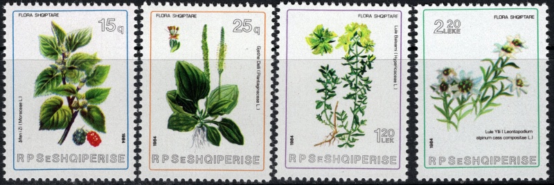 2229-2232 Flóra