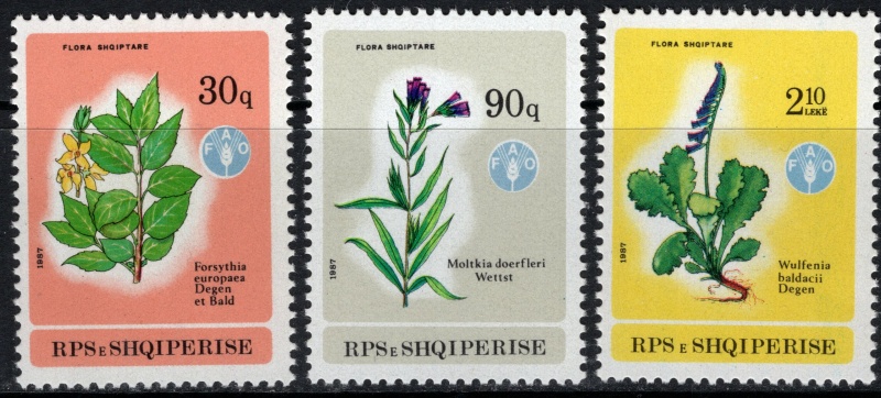 2334-2336 Flóra