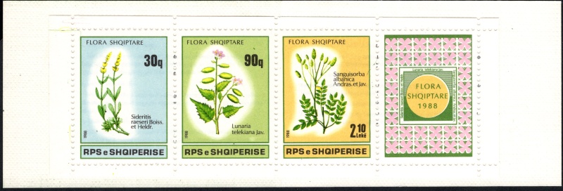 2358-2360 ZZ Flóra