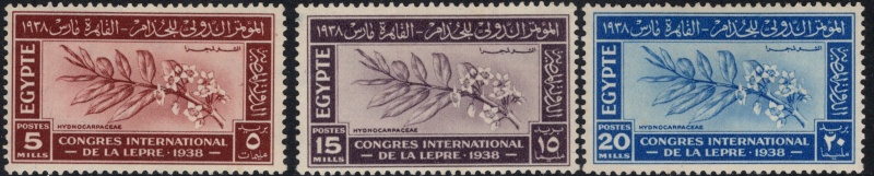 0248-0250 Flóra