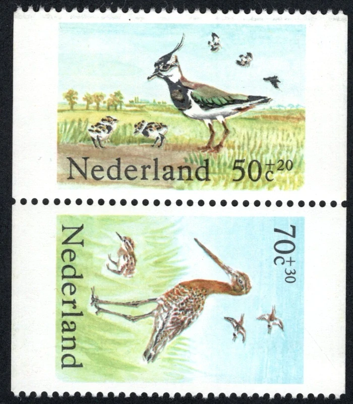 1246+1249 Vtáky