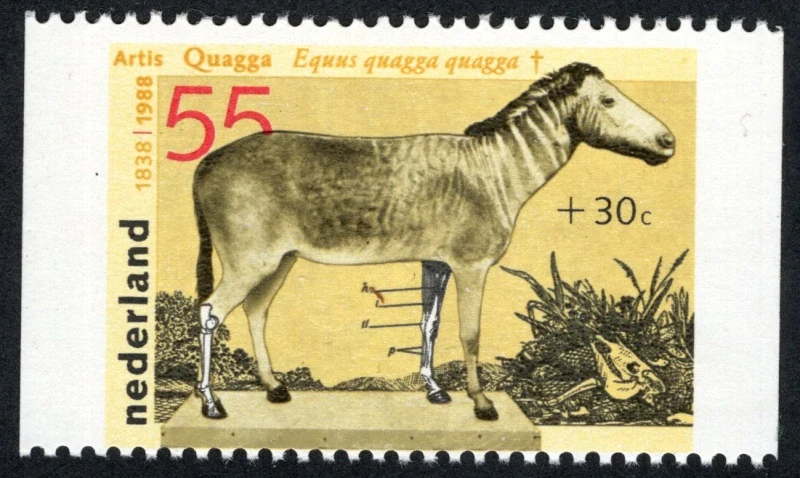 1339 C