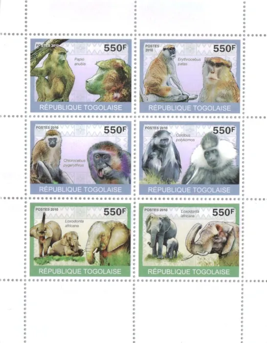 3479-3482 KB Fauna