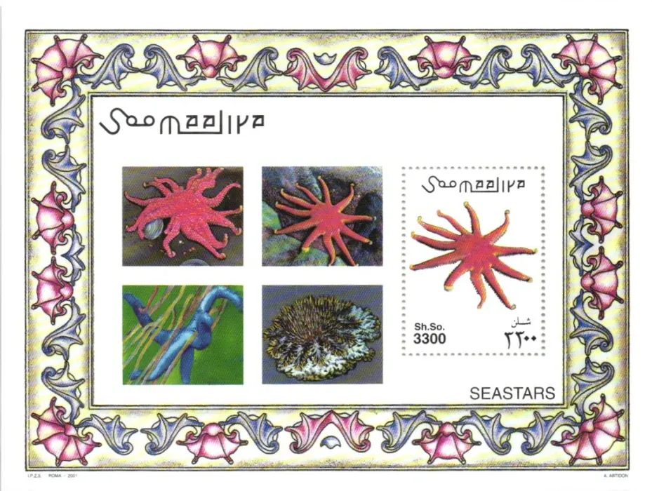 0900 BL 80 Fauna