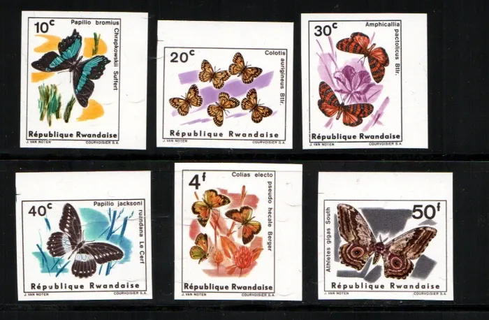 0119-24 B Fauna