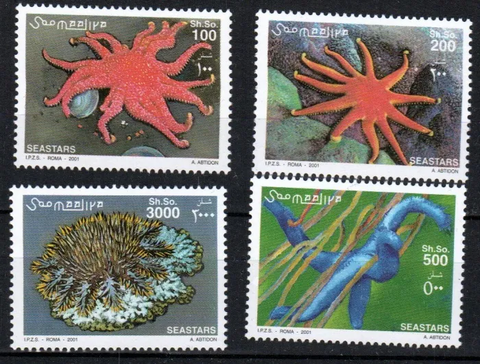 0896-99 Fauna