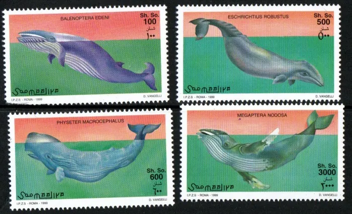 0789-0792 Fauna