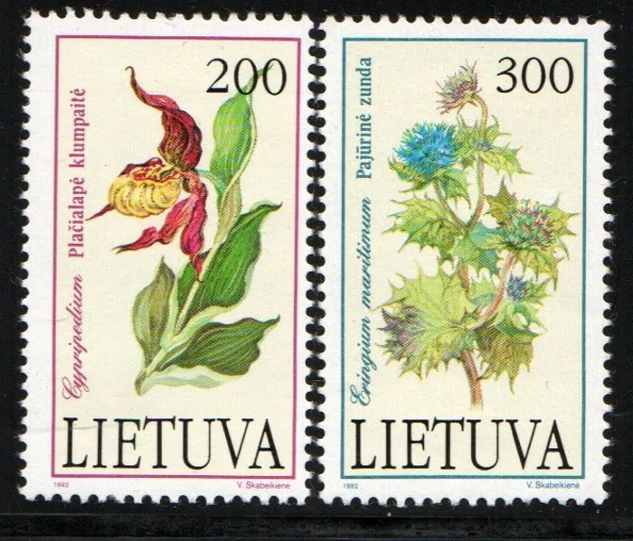 0499-500 Flora