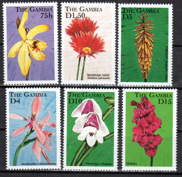 3002-07 Flora