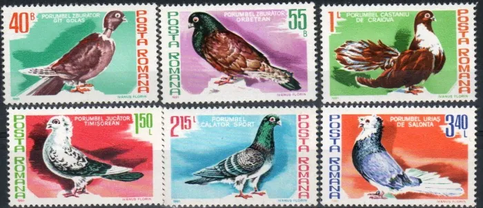 3777-82 Fauna